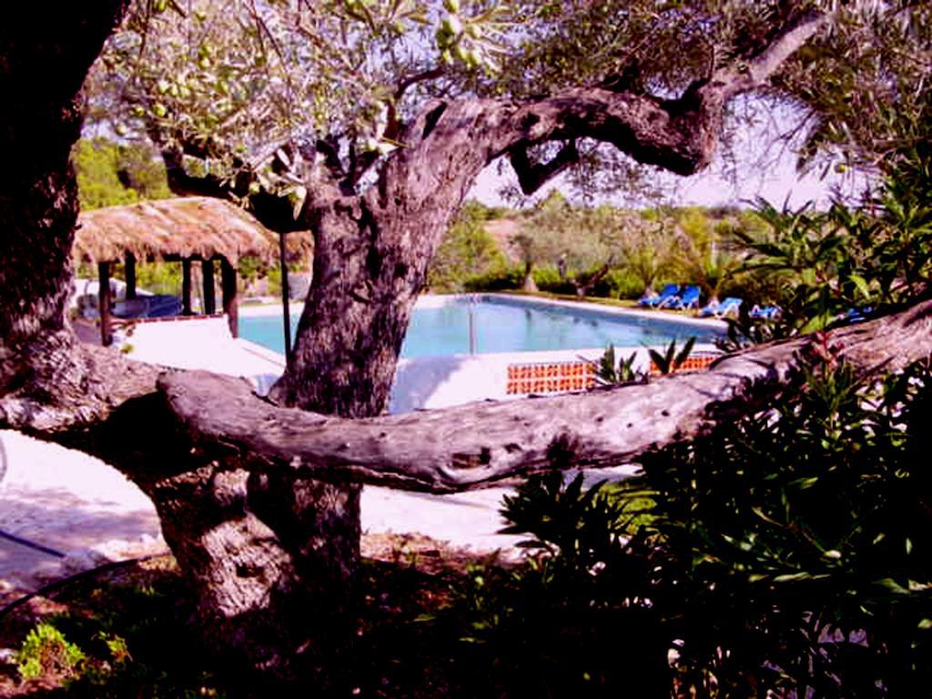 The Sea Garden Hotel & Resort L'Ampolla Ngoại thất bức ảnh